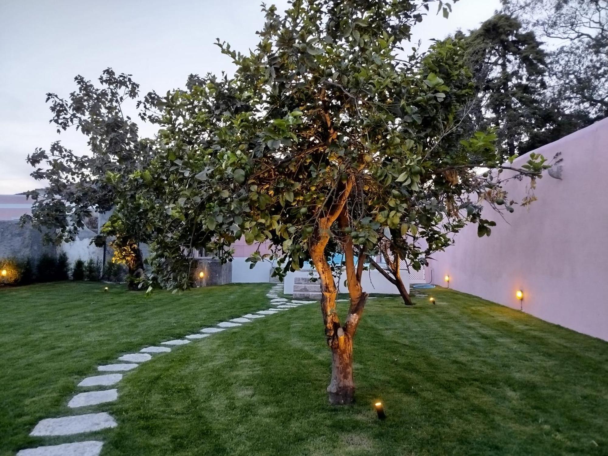 Ajuda Palace Inn Lisbon Apartments Εξωτερικό φωτογραφία